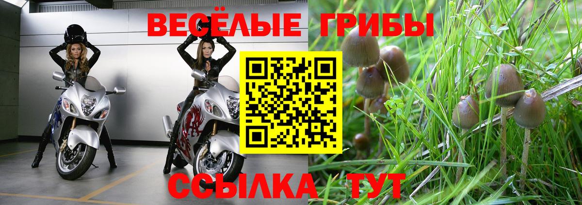 Галлюциногенные грибы мицелий Малгобек